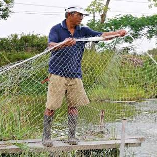 The fisherman