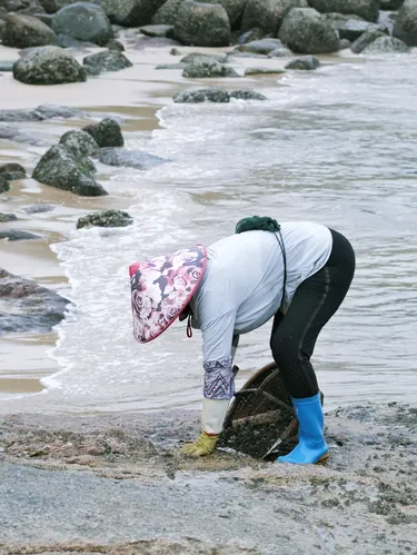The oyster farmer